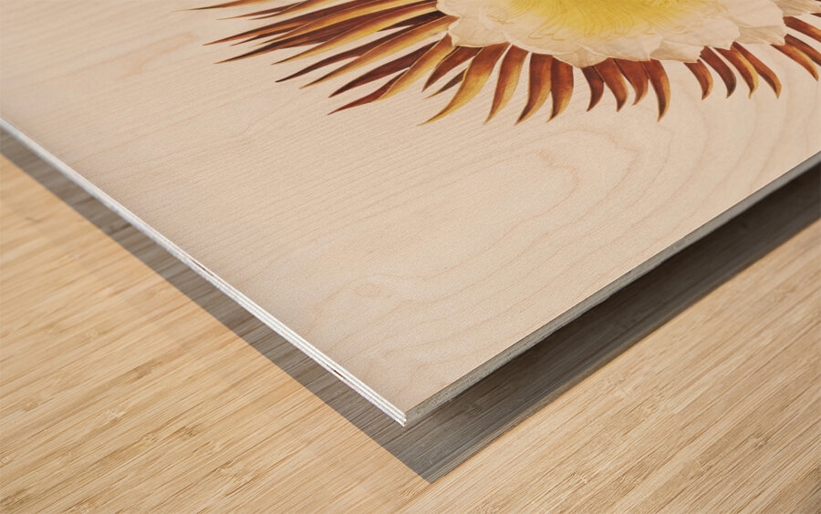 The Night–Blowing Cereus Wood print