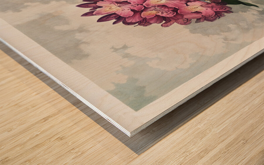 The Pontic Rhododendron Wood print