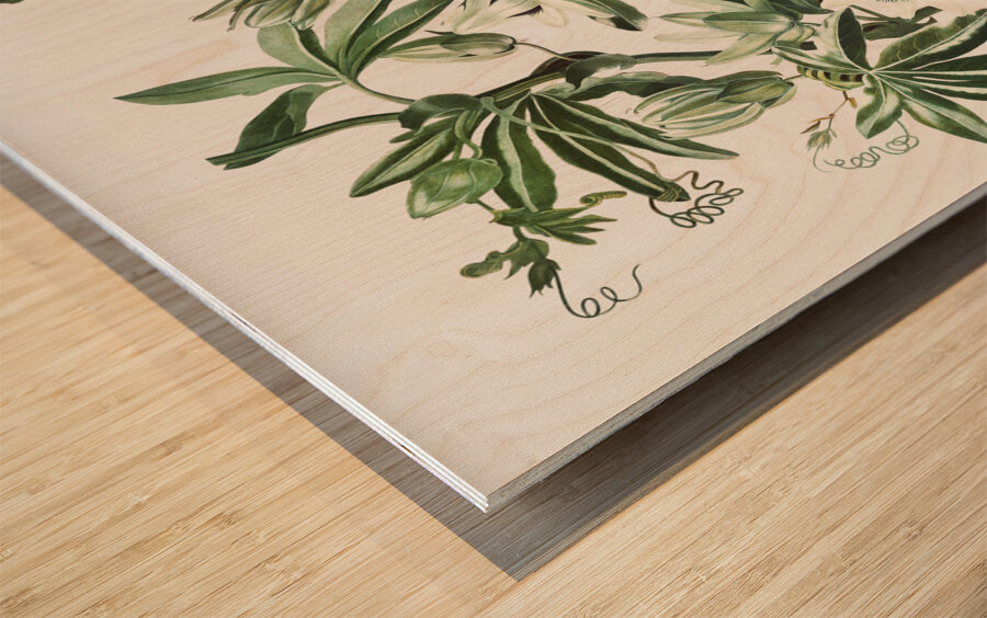 Cupid Inspiring Plants with Love Wood print