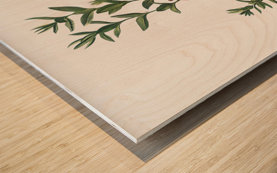 The Narrow–Leaved Kalmia Wood print