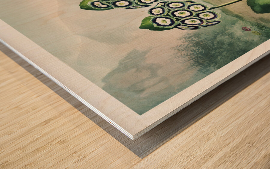 A Group of Auriculas Wood print