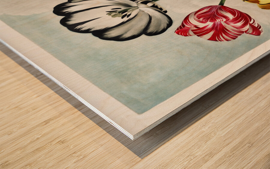 Tulips  Wood print