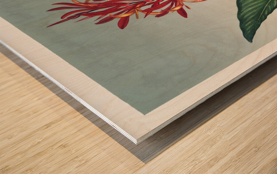 Indian Reed  Wood print