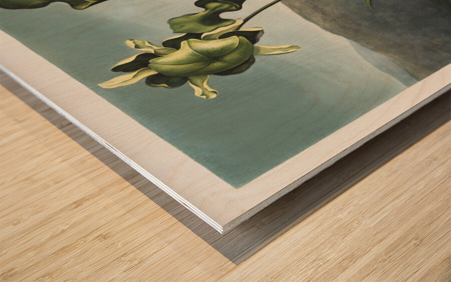 American Bog Plants Impression sur bois