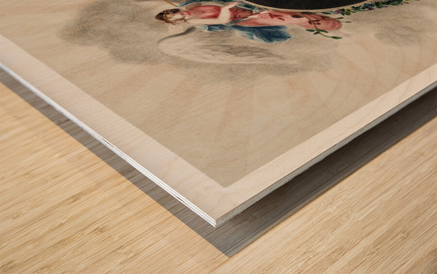 The Portrait of Carl Linnaeus  Wood print