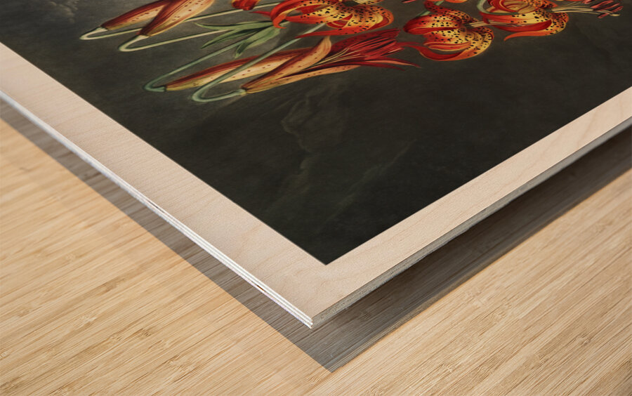 The Superb Lily Wood print