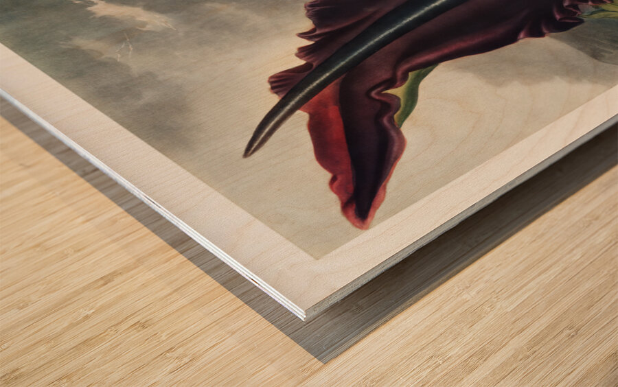 The Dragon Arum Wood print