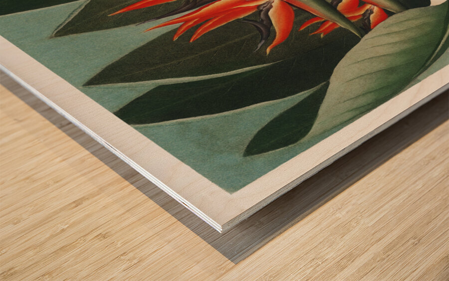 The Queen–Plant  Wood print