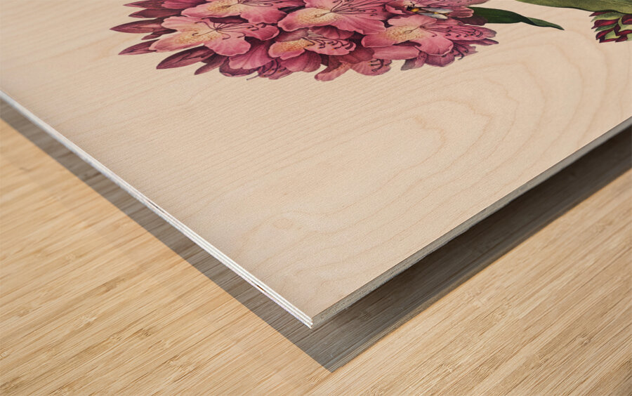 The Pontic Rhododendron Wood print