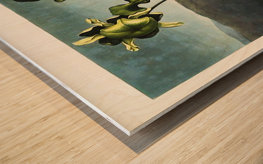 American Bog Plants Wood print