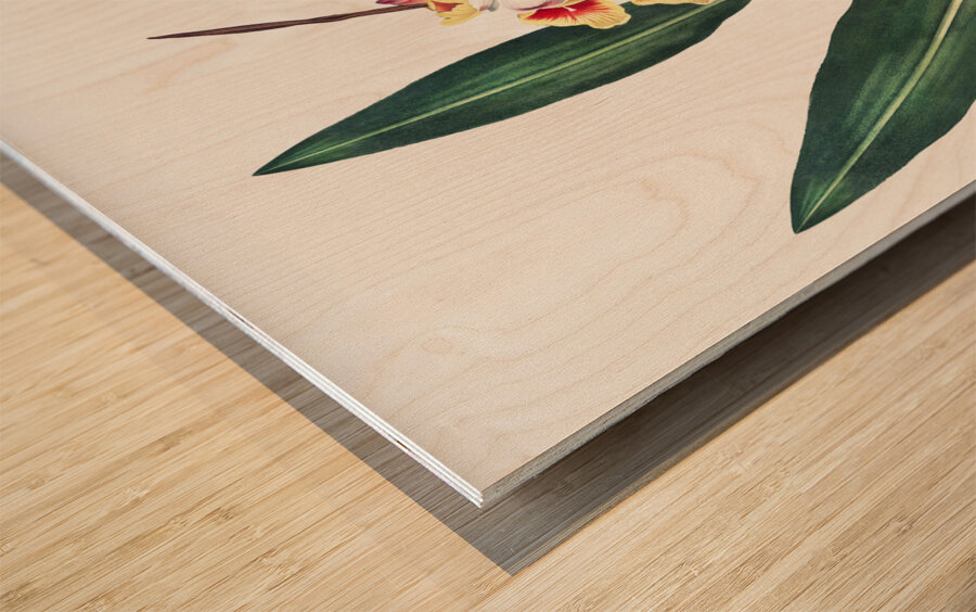 The Nodding Renealmia Wood print