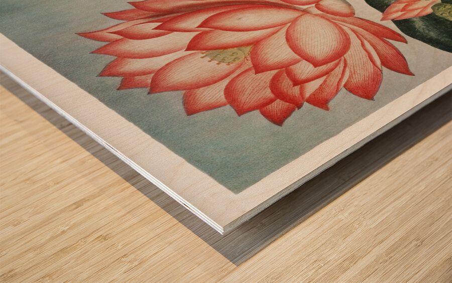 The Sacred Egyptian Bean Wood print