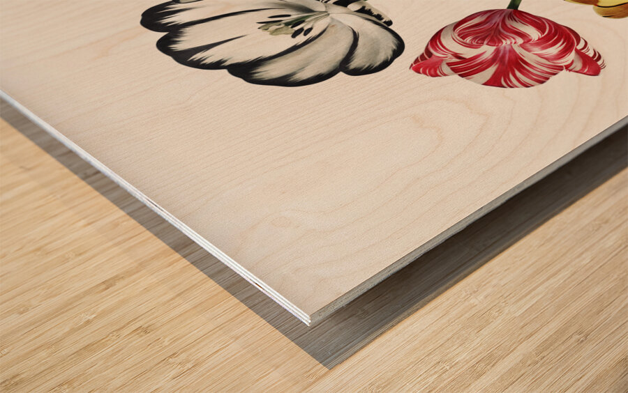 Tulips Wood print