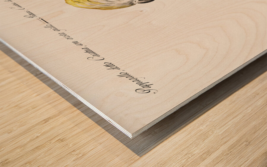 Pappagallo detto cacatua con cresta gialla Cockatoo Wood print