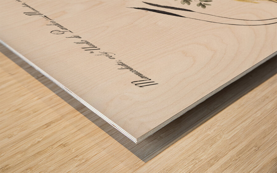 Manucodiata sive paradisaea Bird of Paradise Wood print