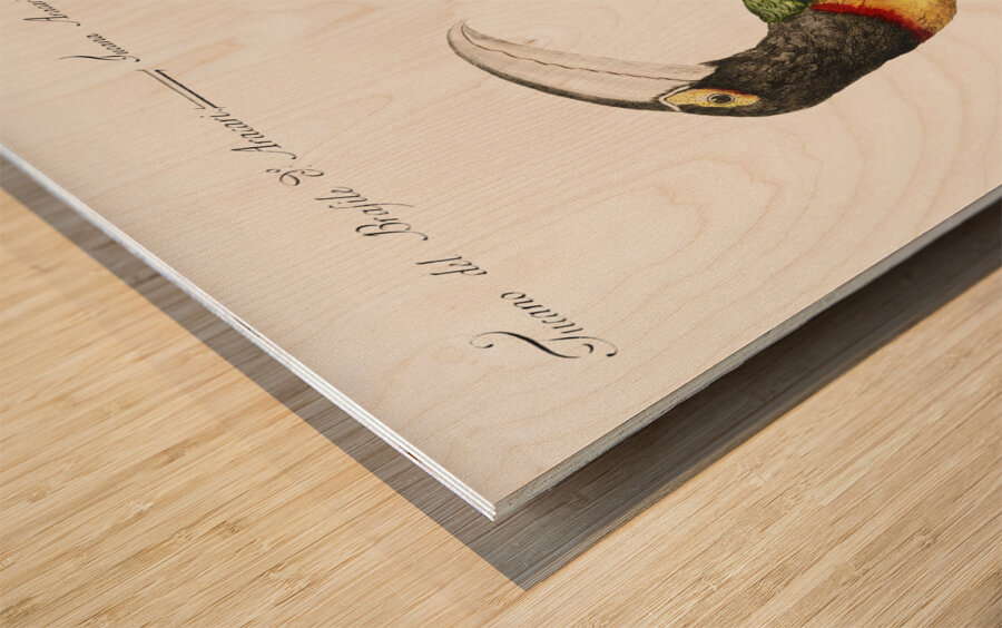 Tucana Aracari Brasilensibus Toucan Wood print