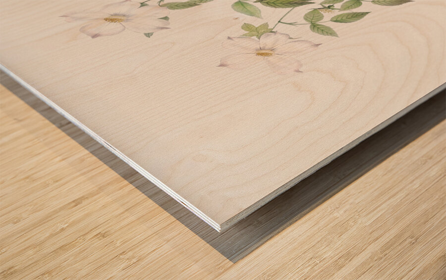 Vintage Austrian Briar rose Wood print