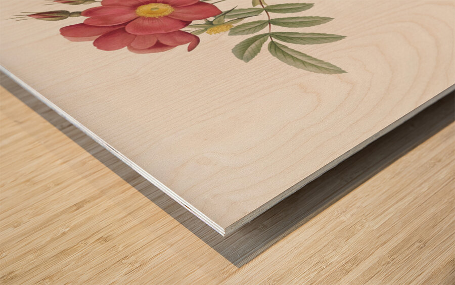 Vintage red rose Wood print