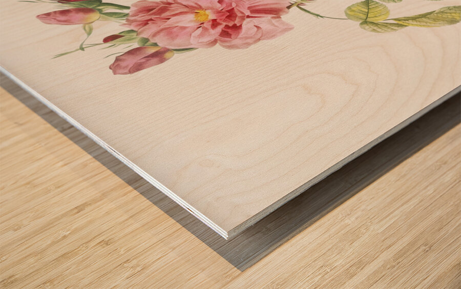 Four seasons rose in bloom Wood print