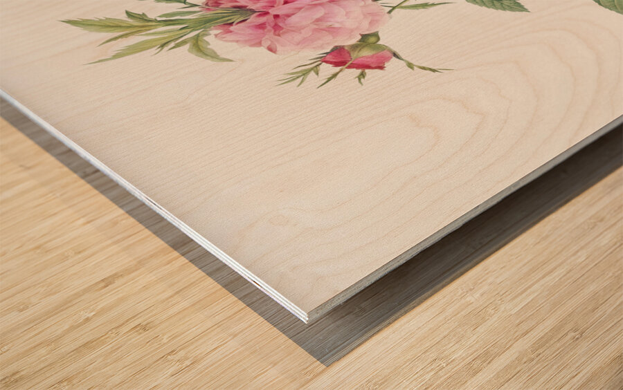 Pink agatha rose Wood print