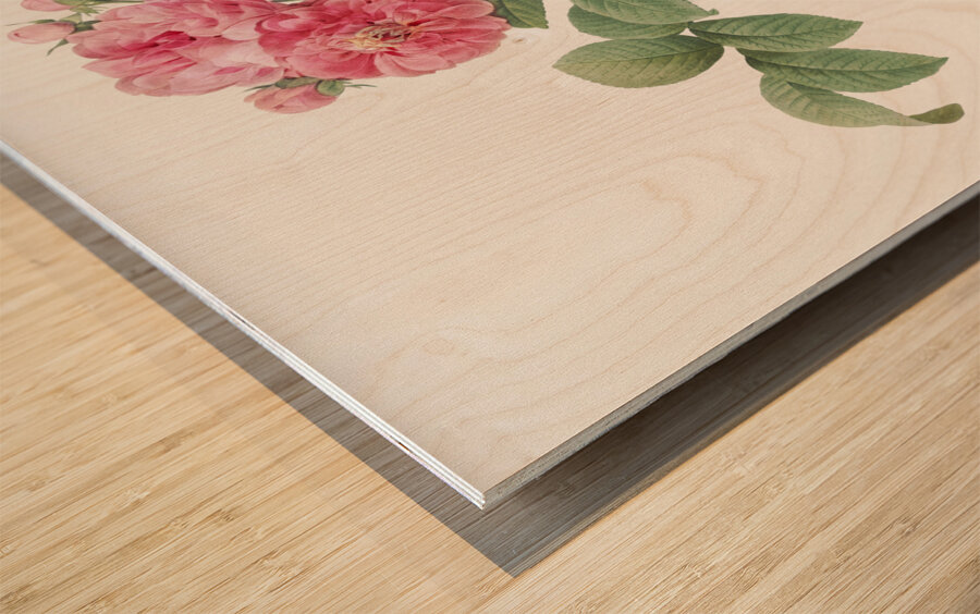 Seven sisters rose in bloom Wood print