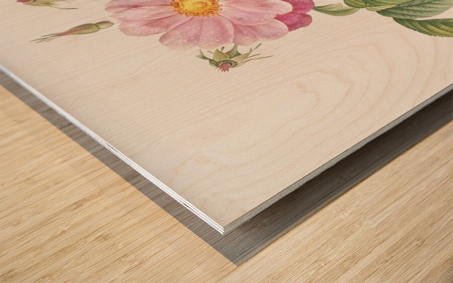 Speckled provins rose Wood print