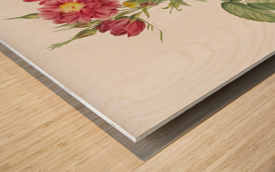 Vintage rosa gallica rose Wood print