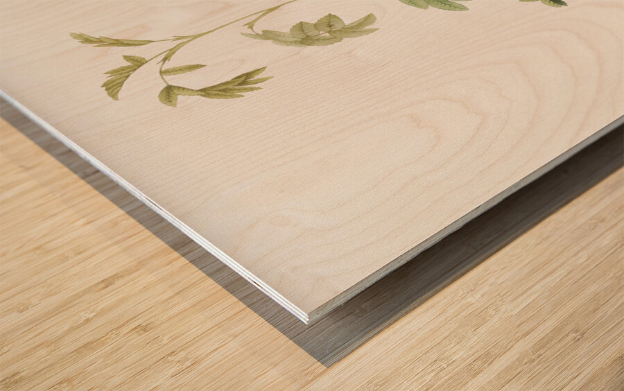 Vintage alpine rose Wood print