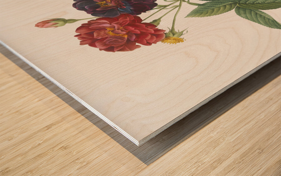 Van eeden rose Wood print