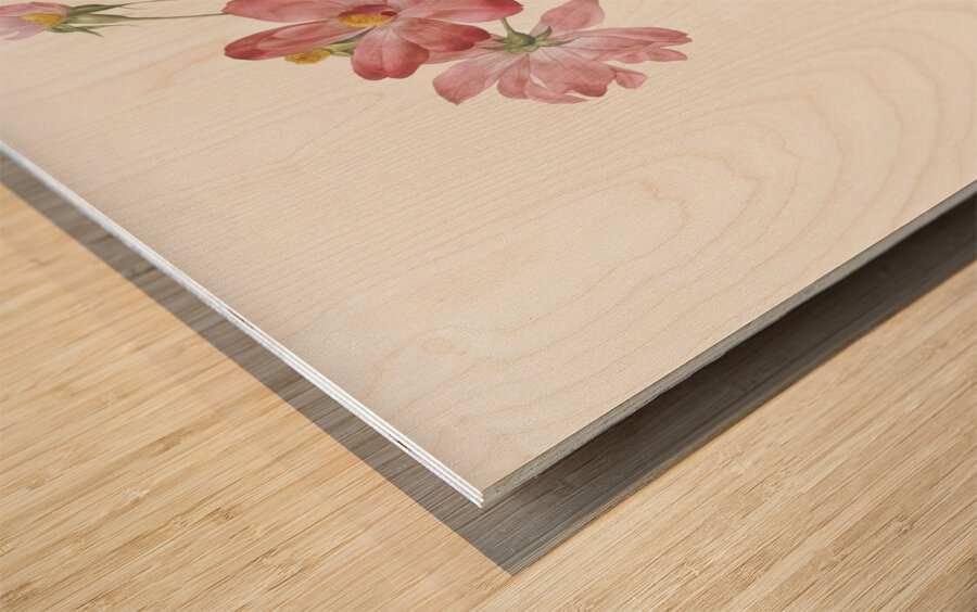 Blooming pink roses Wood print