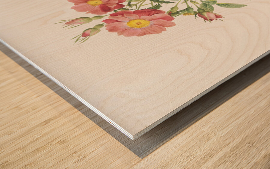 Blooming pink roses Wood print