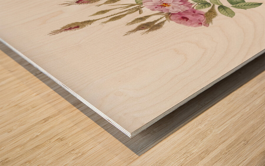 Mossy pompon rose Wood print