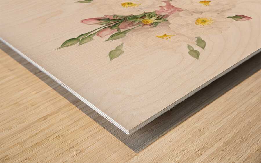 Flowering rosebush Wood print