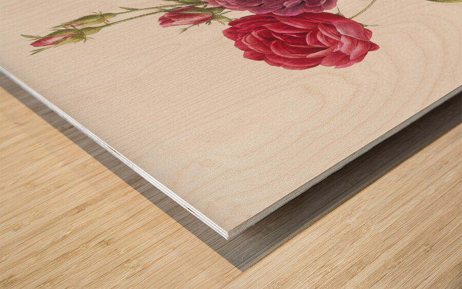 Blooming purple roses Wood print