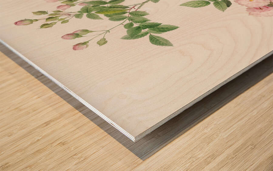 Pink baby roses Wood print