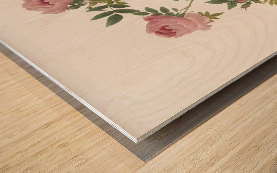 Pink french roses Wood print