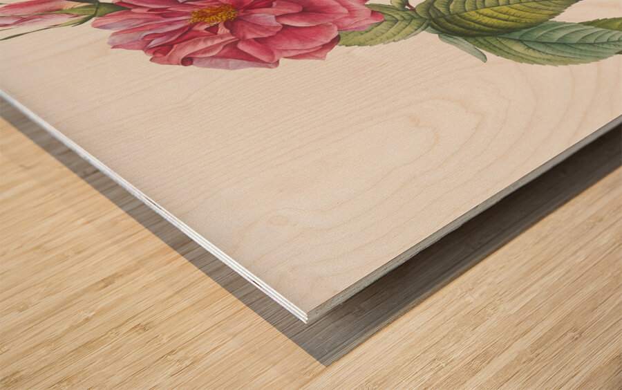 Pink french roses Wood print