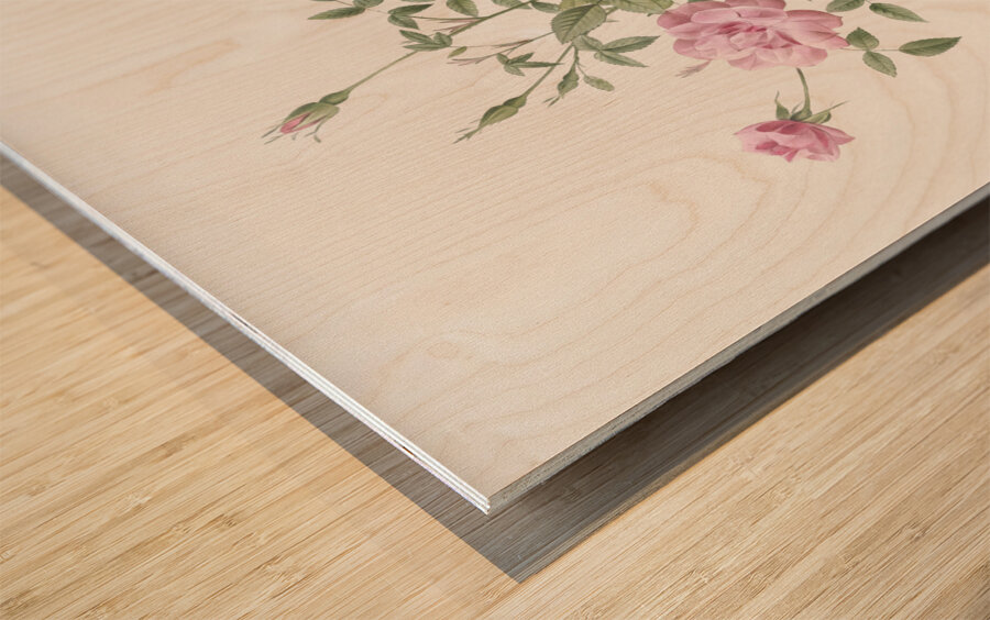 Vintage dwarf rosebush rose Wood print