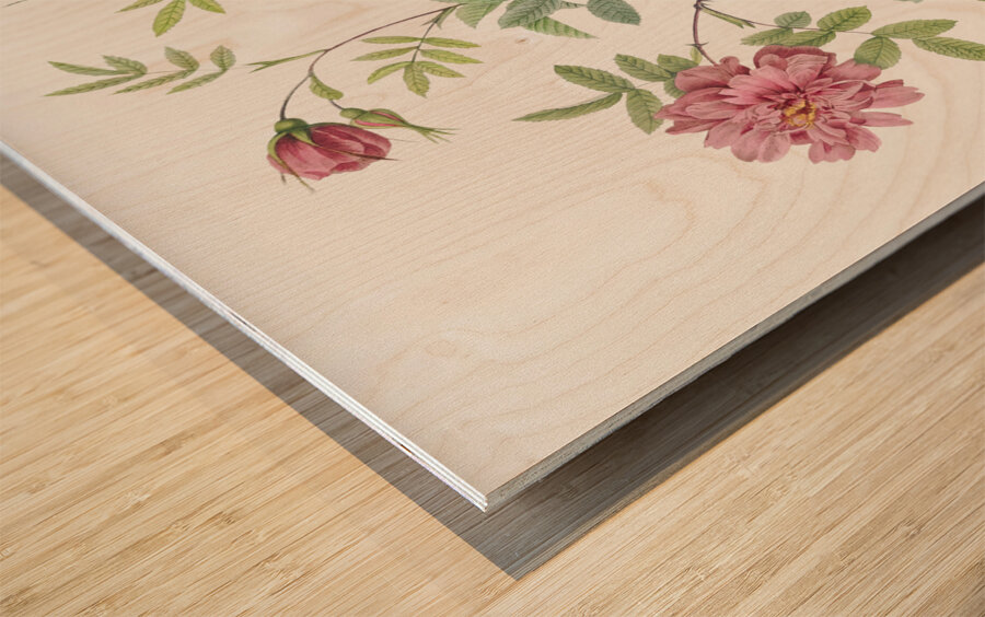 Vintage cinnamon rose Wood print