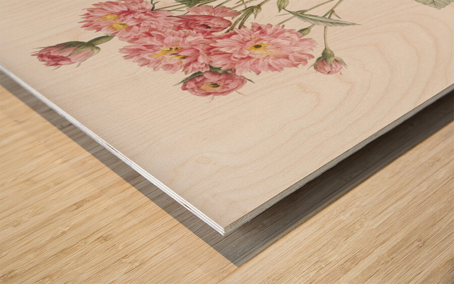 Vintage pink rosebush Wood print