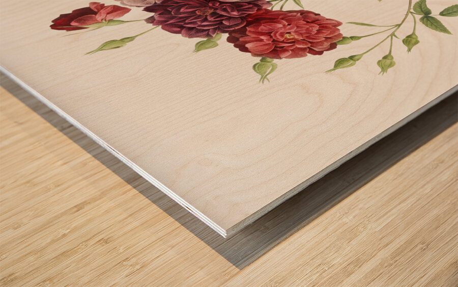 Ternaux rose in bloom Impression sur bois