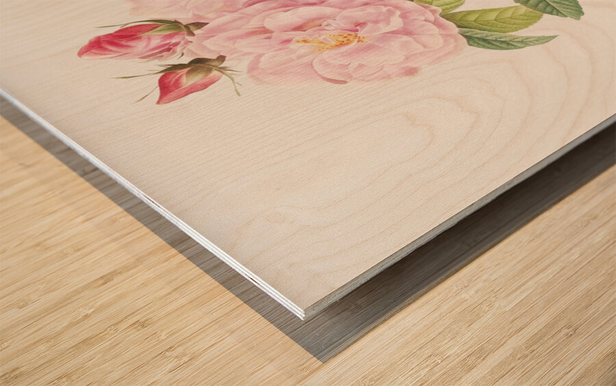 Vintage Leschenaults Rose Impression sur bois