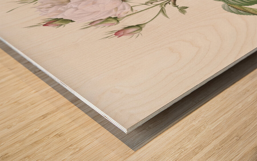 Pink bourbon roses Wood print