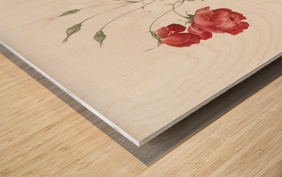 Vintage red rose Wood print