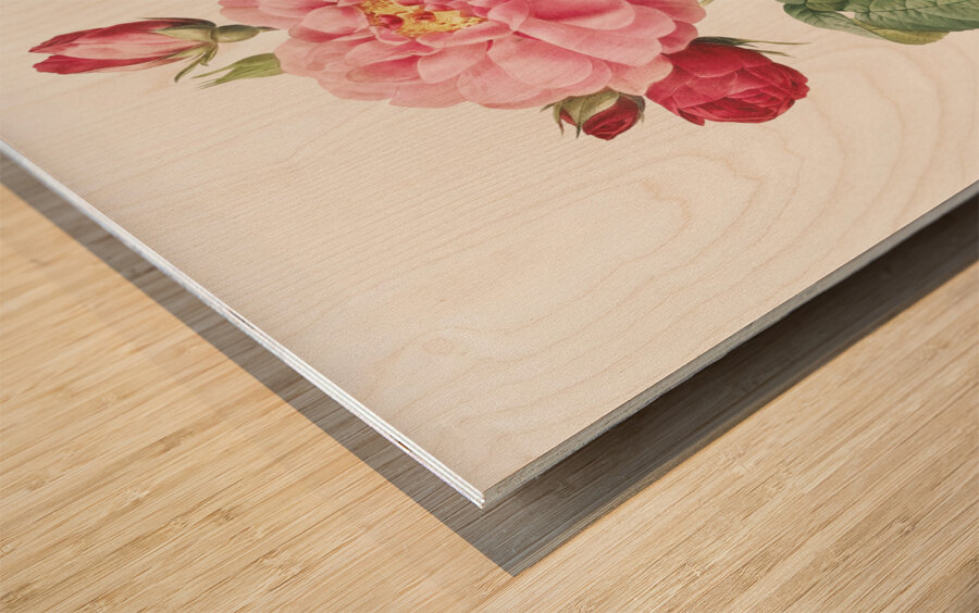 Vintage french rose Wood print