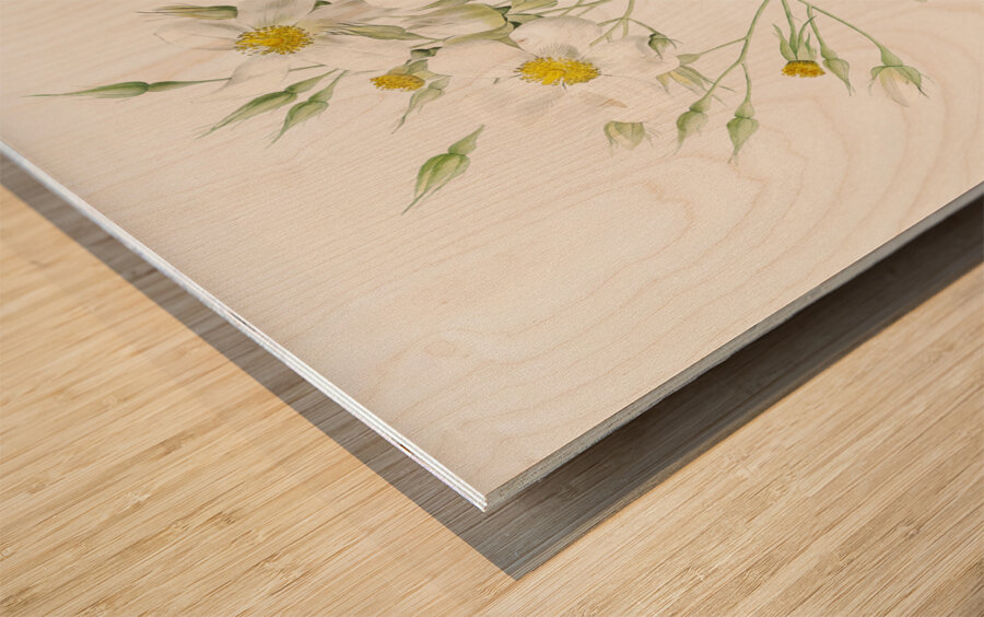 Vintage musk rose Impression sur bois