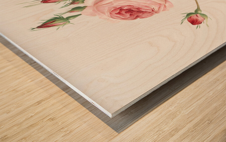 Vintage Provence rose Wood print