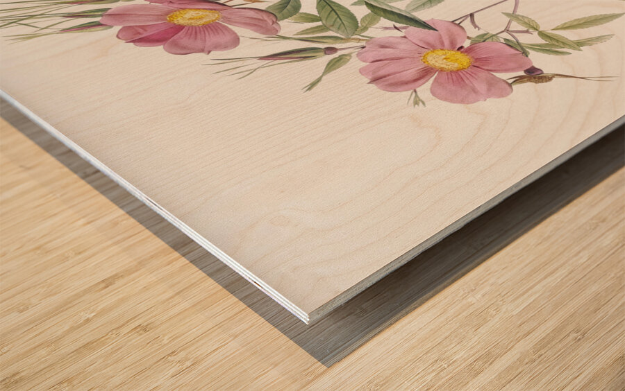 Pink swamp roses Wood print