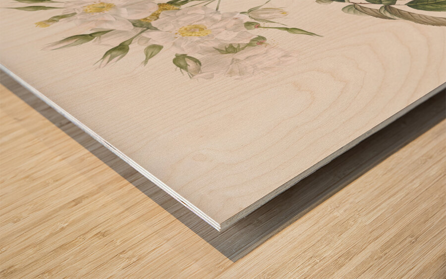 Blooming musk roses Wood print