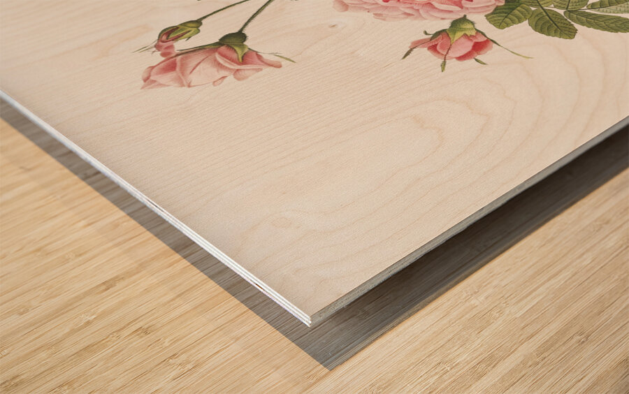 Pink rose turbine Wood print